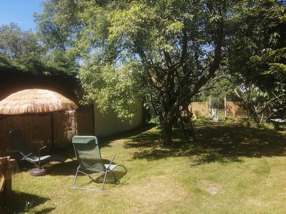 Maison " Bouton D'Or" Au Bord De L'Eau, A 10 Mn De Tours , Meuble Classe Une Etoile Saint Avertin Bagian luar foto
